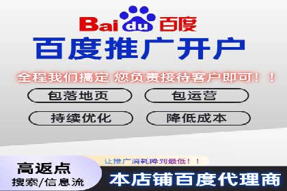 搜索引擎优化（SEO）在百度上的应用案例研究